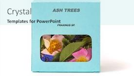  Presentation with herbs - PPT layouts having ash-trees-medicinal-herbs background and a arctic colored foreground
