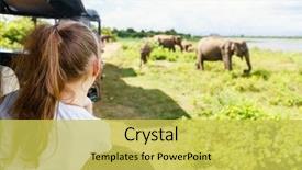  Presentation with elephants - Presentation theme enhanced with asia - back view of adorable little background and a yellow colored foreground