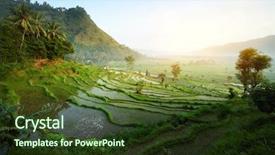  Presentation with bali - Audience pleasing slide deck consisting of asia - rice tarrace in mountains bali backdrop and a tawny brown colored foreground