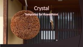  Presentation with cedar - Amazing slide deck having asia brewery - ball made of cedar leaves backdrop and a wine colored foreground