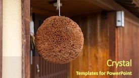  Presentation with brewery - Beautiful theme featuring asia brewery - ball made of cedar leaves backdrop and a tawny brown colored foreground