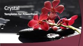  Presentation with target setting - Audience pleasing theme consisting of asia flower - peaceful setting backdrop and a dark gray colored foreground