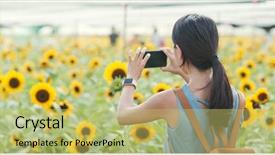  Presentation with sunflower sunflower sunflower sunflower sunflower - Amazing PPT theme having asia flower - woman taking photo on sunflower backdrop and a yellow colored foreground