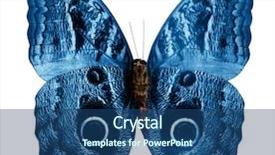  Presentation with butterfly - Amazing PPT layouts having asia mania - butterfly isolated on white background backdrop and a ocean colored foreground