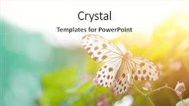  Presentation with black white tree - Amazing PPT layouts having asia mania - close up of idea stolli backdrop and a white colored foreground