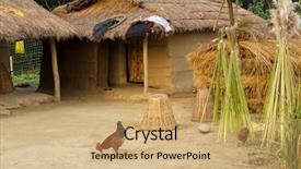  Presentation with asia traditional - PPT theme having asia mania - nepalese traditional farm in chitwan background and a  colored foreground