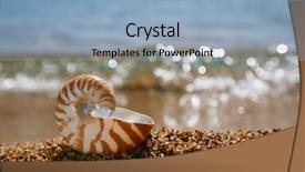  Presentation with pacific - PPT layouts with asia pacific - nautilus shell on the issyk-kul background and a light blue colored foreground