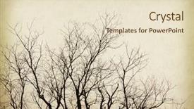  Presentation with antique paper texture - Theme enhanced with asia pacific - tree with old grunge antique background and a lemonade colored foreground