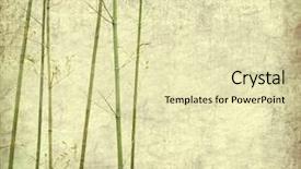  Presentation with antique paper texture - PPT theme having japanese plants - bamboo on old grunge antique background and a soft green colored foreground