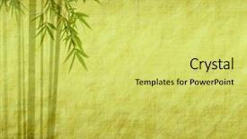  Presentation with asian bamboo - PPT layouts enhanced with asian art - silhouette of branches background and a yellow colored foreground