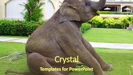  Presentation with elephant - Cool new presentation theme with asian elephant on green garden backdrop and a tawny brown colored foreground