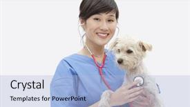  Presentation with asian - PPT layouts enhanced with asian female veterinarian examining dog background and a light blue colored foreground