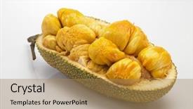  Presentation with buah - PPT theme having asian fruit-buah cempedak background and a coral colored foreground