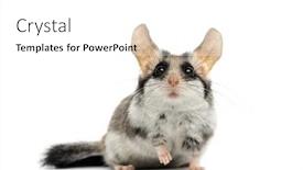  Presentation with garden - Theme consisting of asian-garden-dormouse-eliomys-melanurus background and a white colored foreground