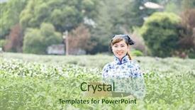  Presentation with tea plantation - Audience pleasing presentation design consisting of asian pretty tea-picking girl in plantation backdrop and a mint green colored foreground