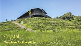  Presentation with stairs - Presentation theme enhanced with asian-traveling-woman-walk background and a tawny brown colored foreground