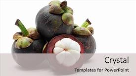  Presentation with mangosteen - Cool new slides with asian tropical mangosteen fruit backdrop and a light gray colored foreground