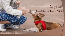  Presentation with dog park - 