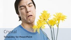  Presentation with bad - PPT theme with asian young man holding bouquet of yellow gerber daisies with bad look on his face background and a light blue colored foreground