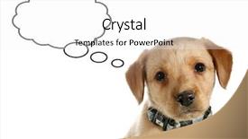  Presentation with cute christmas pug puppy dog - Colorful presentation design enhanced with ask want - little dog puppy is thinking backdrop and a white colored foreground