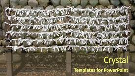  Presentation with shinto - PPT layouts enhanced with asking for rice and prosperity background and a tawny brown colored foreground