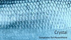  Presentation with fish scales - Colorful PPT layouts enhanced with asp fish scales natural texture backdrop and a light blue colored foreground