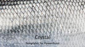 Presentation with fish scales - Audience pleasing presentation theme consisting of asp fish scales natural texture backdrop and a light gray colored foreground