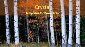  Presentation with fall foliage - PPT theme enhanced with aspen-birth-trees-in-autumn background and a tawny brown colored foreground