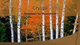  Presentation with fall-foliage - Slide deck with aspen-birth-trees-in-autumn and a gold colored foreground