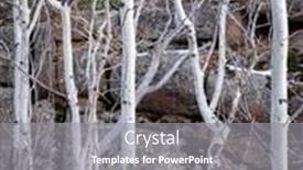  Presentation with spirit - Cool new theme with aspen-grove-and-granite-rock backdrop and a gray colored foreground
