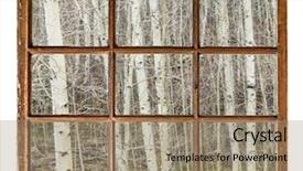  Presentation with fine food and wine spring - Amazing presentation having aspen grove in late winter backdrop and a coral colored foreground