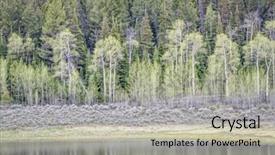  Presentation with spring water - PPT layouts having aspen grover sagebrush and spruce background and a  colored foreground