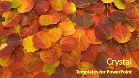  Presentation with autumn - Audience pleasing slide deck consisting of aspen leaves - autumn leafs background backdrop and a tawny brown colored foreground