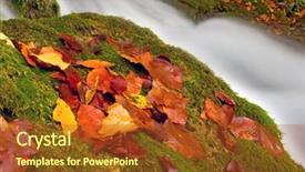  Presentation with water rain drop hanging on a fresh green leaf - Audience pleasing PPT theme consisting of aspen leaves - autumn leafs near waterfall backdrop and a tawny brown colored foreground