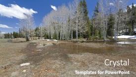  Presentation with trees - PPT theme with aspen-trees-by-the-creek background and a coral colored foreground