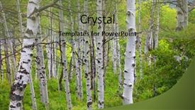  Presentation with tree sky trees green - Slide deck having aspen trees in early autumn background and a seafoam green colored foreground