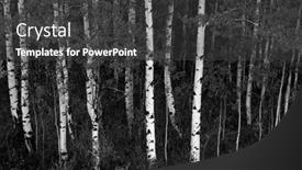  Presentation with fall colors - Slide deck with aspen-trees-in-fall background and a dark gray colored foreground