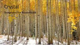  Presentation with winter and trees - PPT theme consisting of aspen trees in the snow background and a gold colored foreground