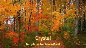  Presentation with walk - Presentation with aspen trees mountains - scenic autumn walk way background and a tawny brown colored foreground