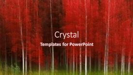  Presentation with black and white trees - Presentation theme consisting of aspen-trees-with-white-trunks background and a tawny brown colored foreground