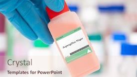  Presentation with preservative - Theme consisting of aspergillus-niger-fungus-a-black background and a lemonade colored foreground