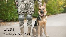  Presentation with forest road - Cool new theme with asphalt road in forest backdrop and a mint green colored foreground