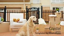  Presentation with asphalt - Slide set with asphalt with packed things background and a  colored foreground