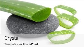  Presentation with aloe vera - Theme consisting of asset recovery - leaf of aloe vera background and a white colored foreground