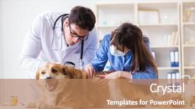  Presentation with sick dog - Slide set consisting of assistant checking up gold background and a coral colored foreground