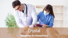  Presentation with sick dog - PPT layouts having assistant checking up gold background and a coral colored foreground