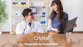  Presentation with sick dog - Slide set with assistant checking up gold background and a coral colored foreground