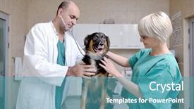  Presentation with lab animal - PPT theme featuring assistant in a small animal background and a teal colored foreground