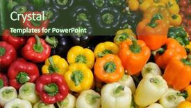  Presentation with color coklat susu - Colorful slide set enhanced with shipping - sandy beach al aqah beach backdrop and a light gray colored foreground.