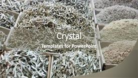  Presentation with fish - PPT layouts featuring assorted dried anchovy fish background and a gray colored foreground